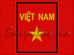 "Нарукавный знак Вьетнам"_H1936